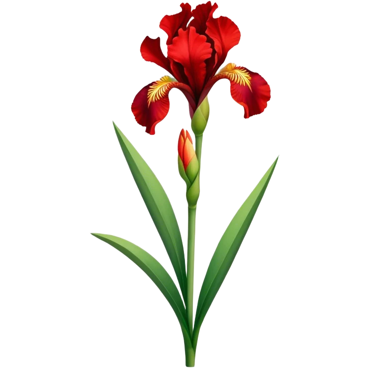 single Bright Red Iris, straight stem emoji