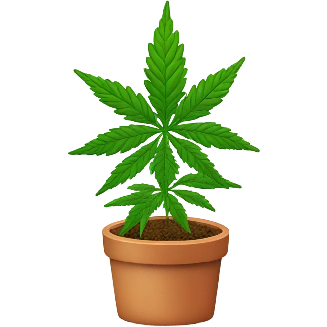 Marijuana plant with person red head emoji