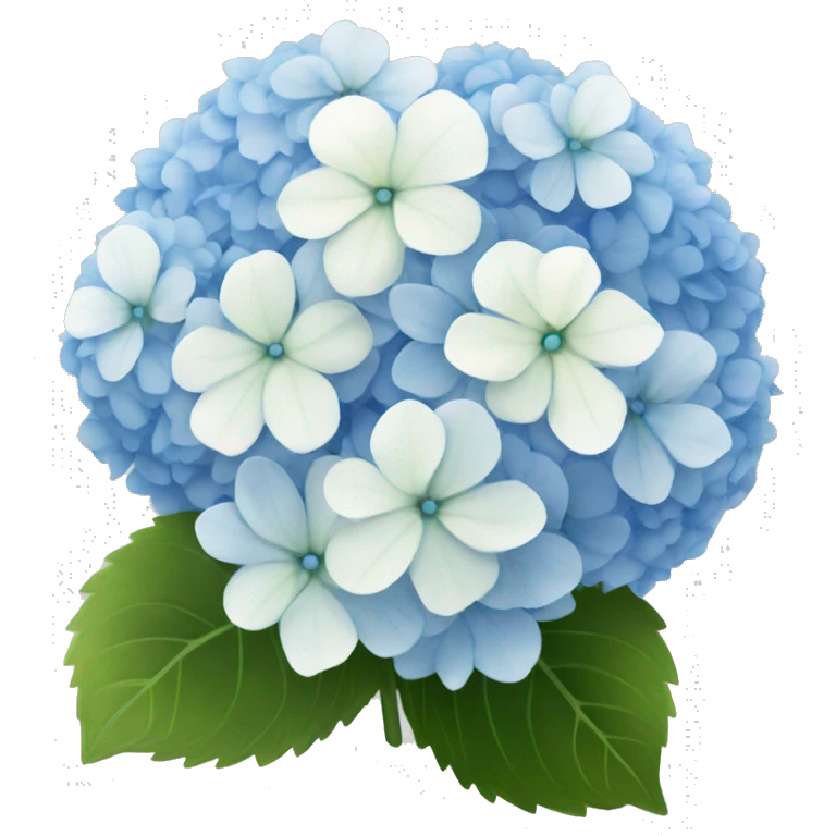 Bouquet of blue and white hydrangeas  emoji