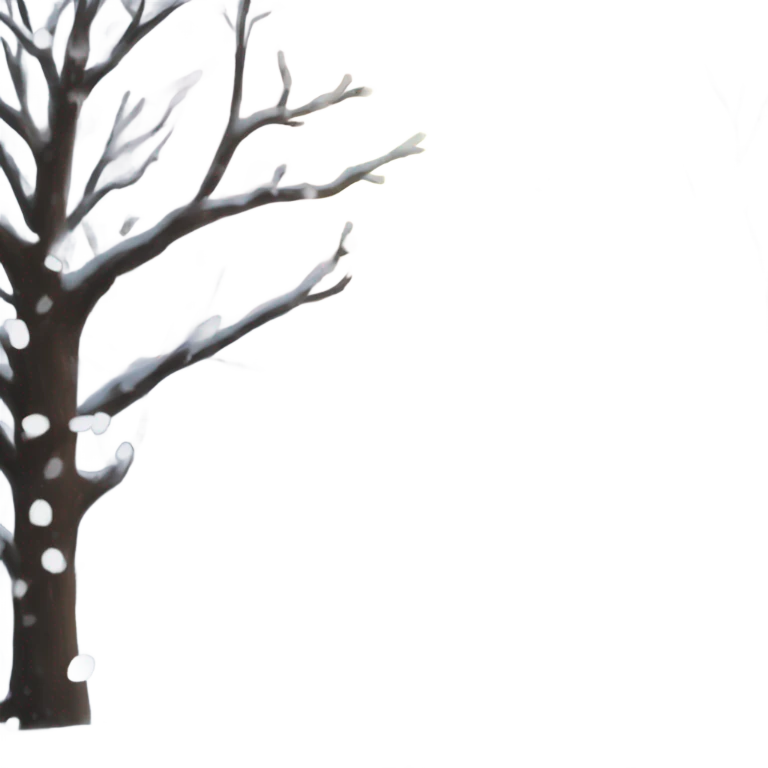 Snowfall  emoji