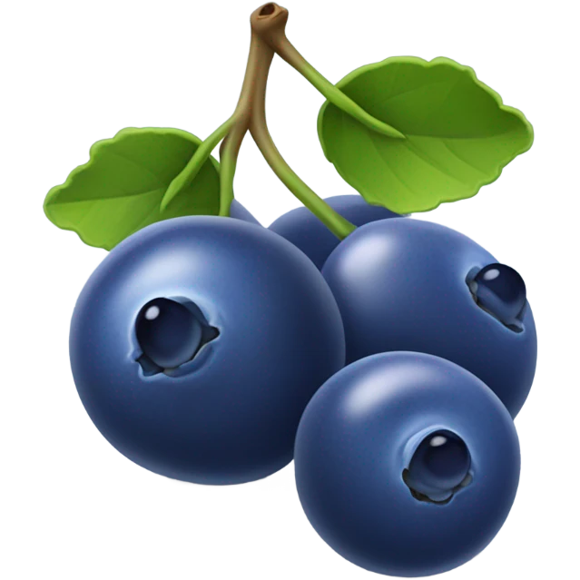Blueberries  emoji