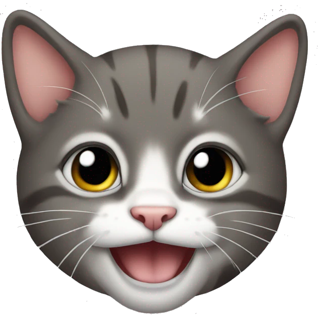 Crazy kitten emoji