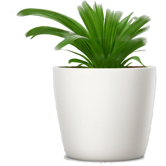 a spider plant in a white plant pot emoji