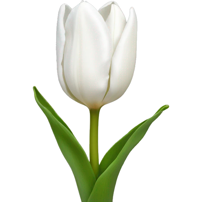 white tulip emoji