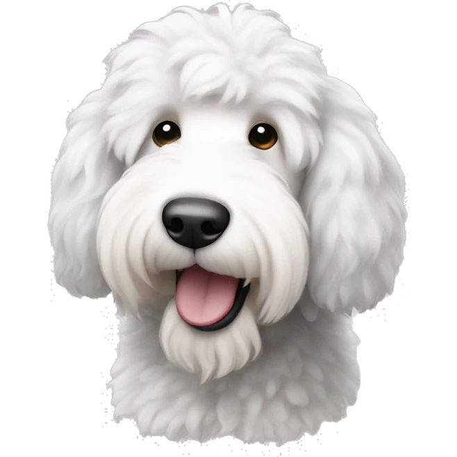White sheepadoodle emoji