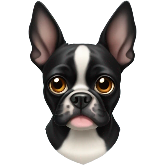Black Boston terrier and pug mixed breed emoji