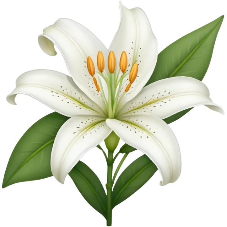 a white Lilly flower as a emoji emoji