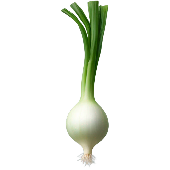scallion  emoji