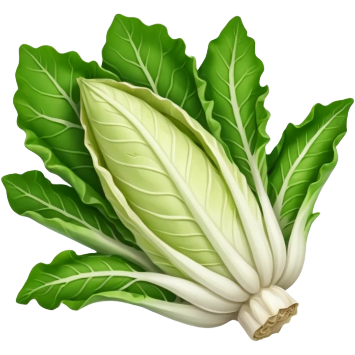 green blegian endive radicchio emoji