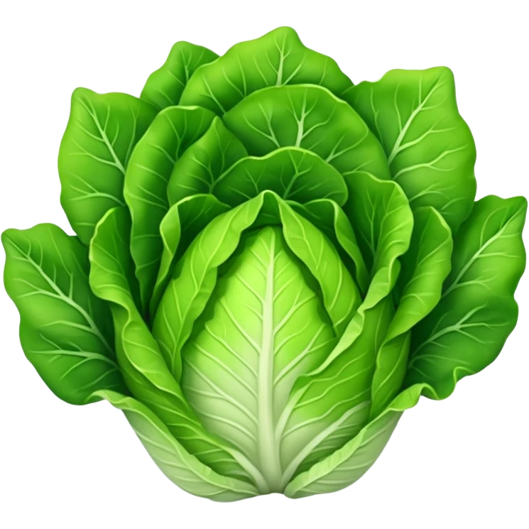  生菜 emoji