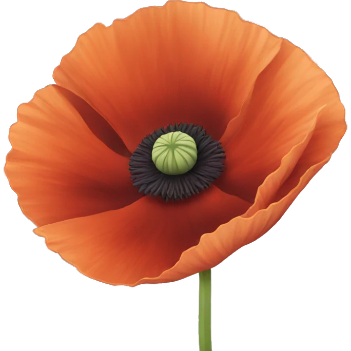 Poppy flower emoji
