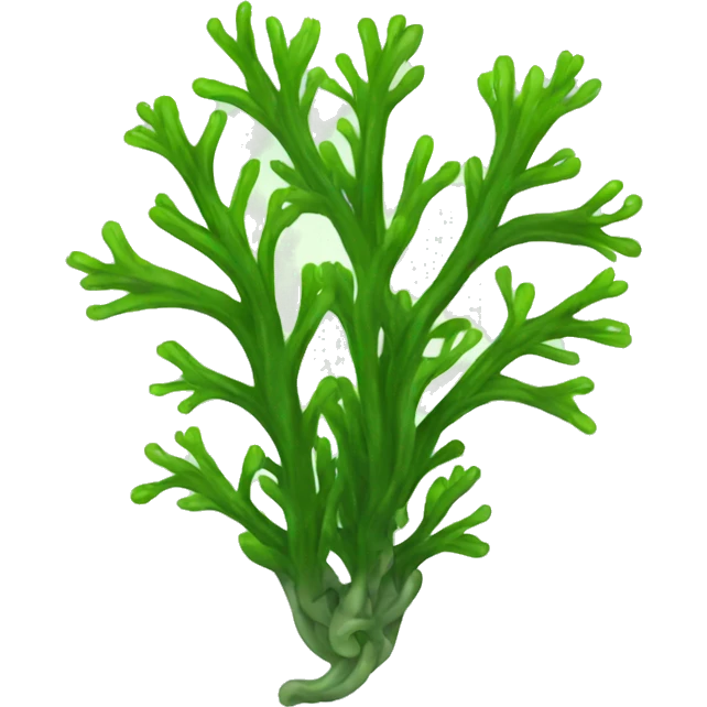 seaweed emoji
