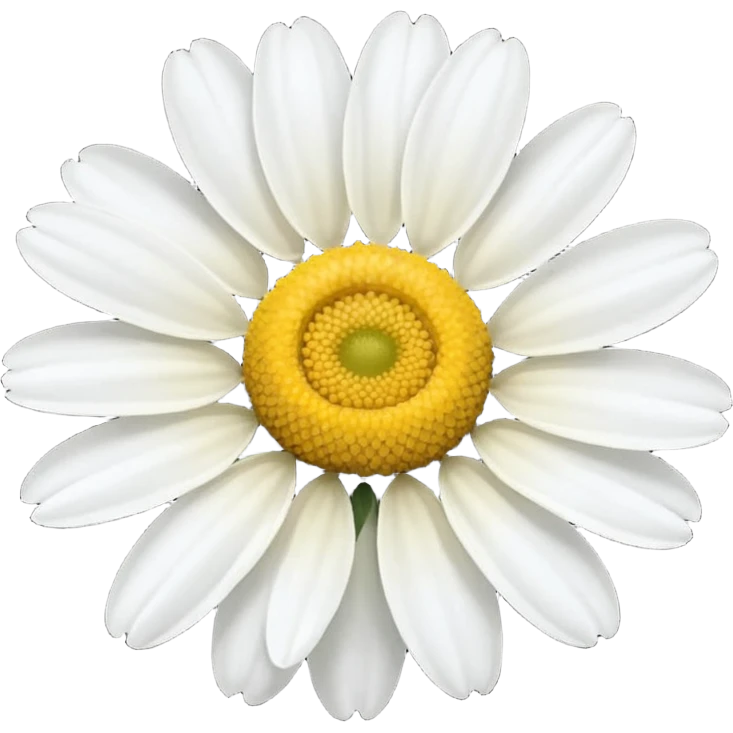 chamomile emoji