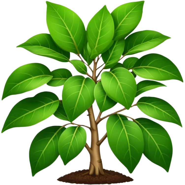 Ficus plant emoji