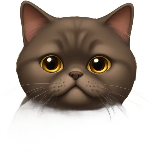 fluffy unimpressed looking deep chocolate brown british shorthair cat emoji