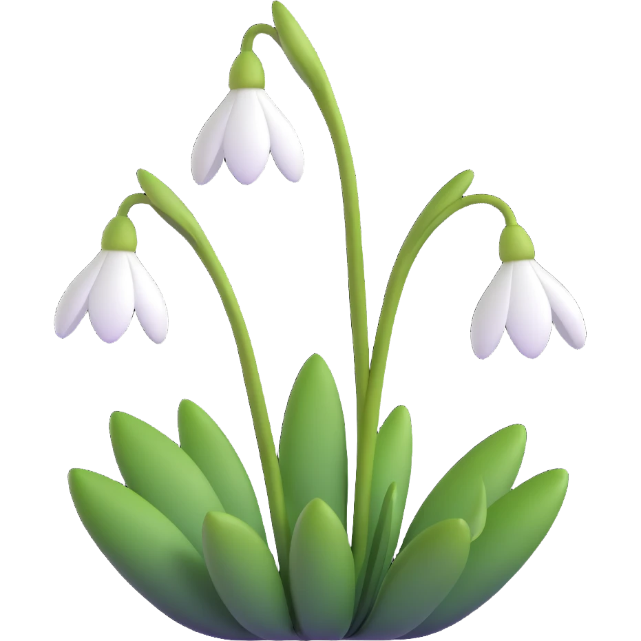 snowdrop flower emoji