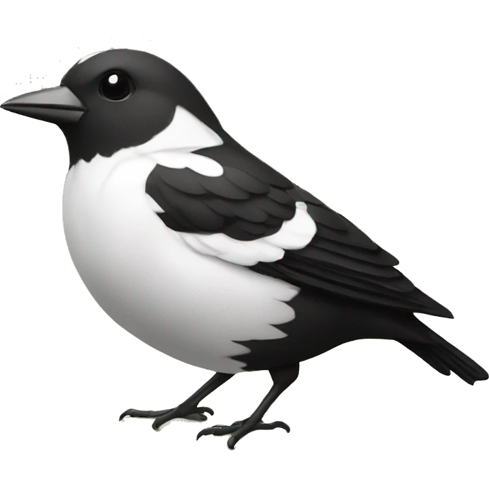 oiseaux noir et blanc bec jaune emoji