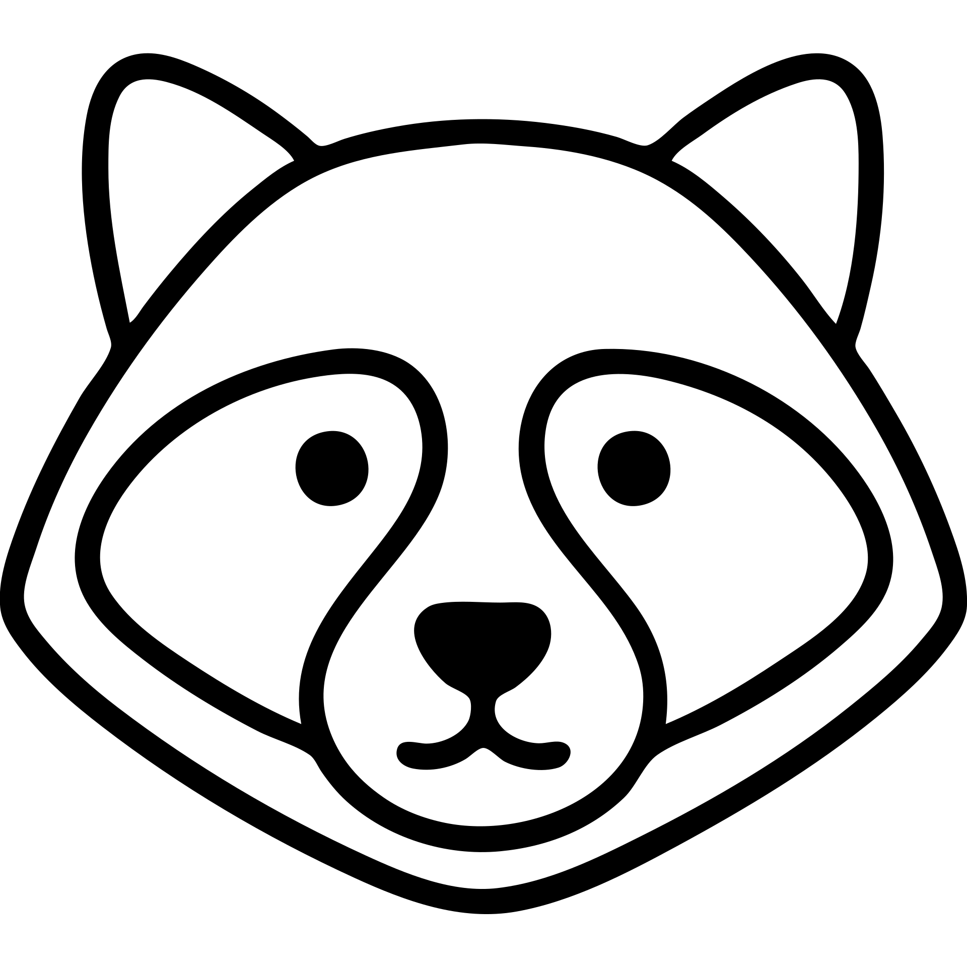 purple raccoon icon outline emoji