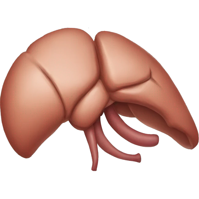 Liver emoji