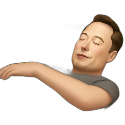 Sleeping-elon-musk emoji