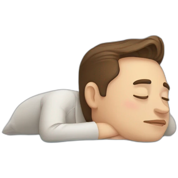 elon musk sleeping emoji
