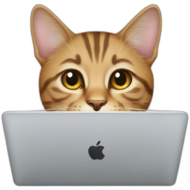 cat with mac book emoji
