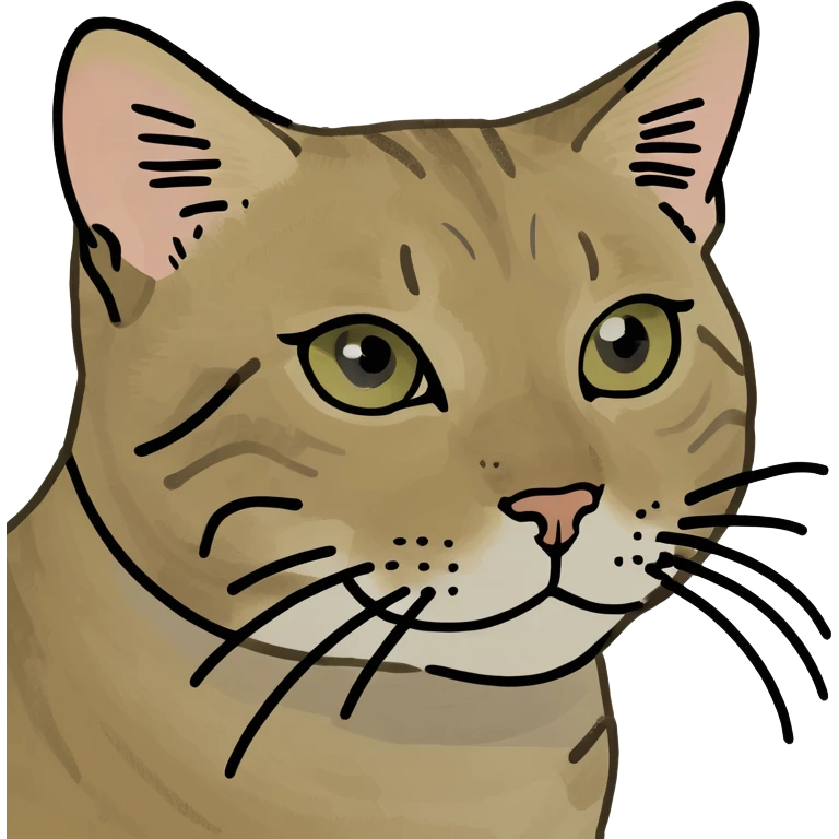 Tabby cat  emoji