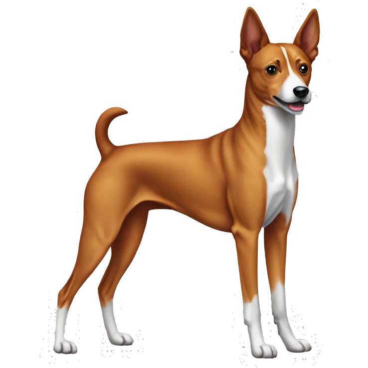Dog basenji emoji