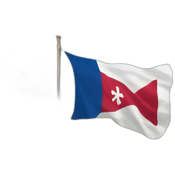 bandera cruz de borgoña emoji