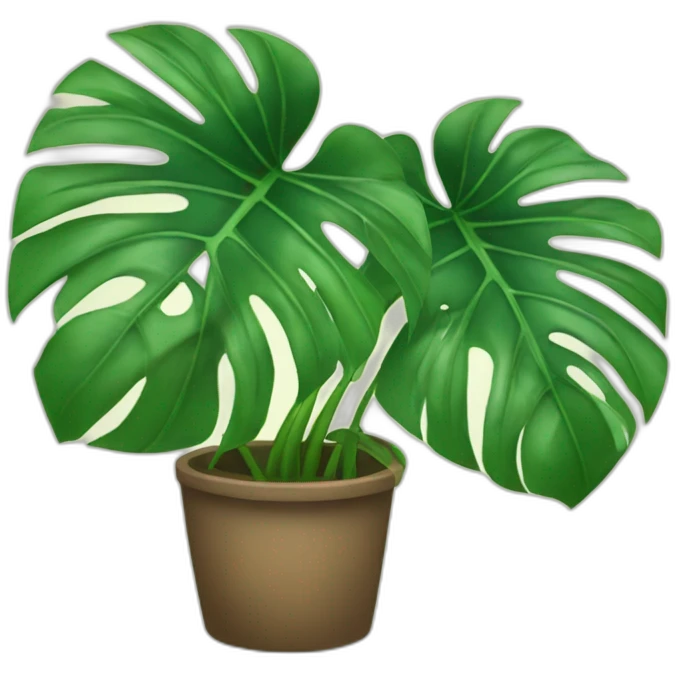 Monstera plant emoji