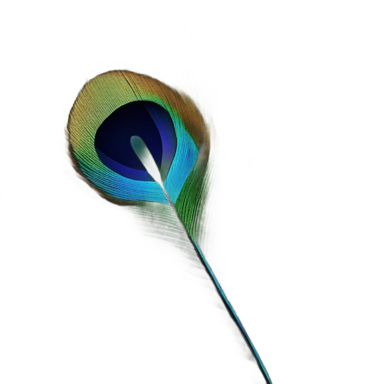 peacock feather emoji