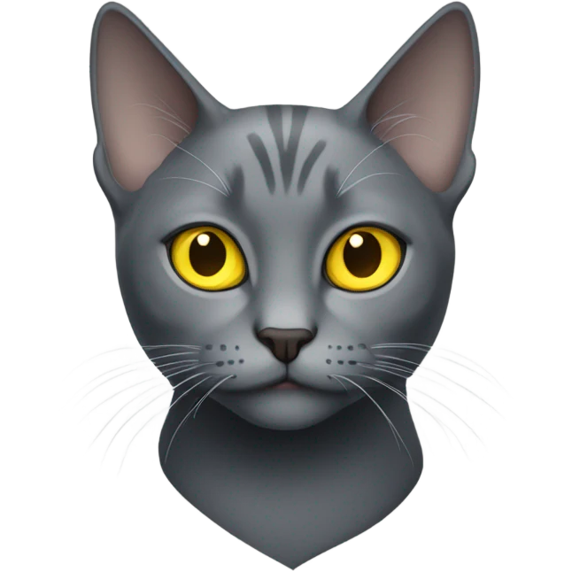An all grey cat with yellow eyes  emoji