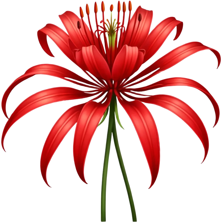 wilting red spider lily  emoji