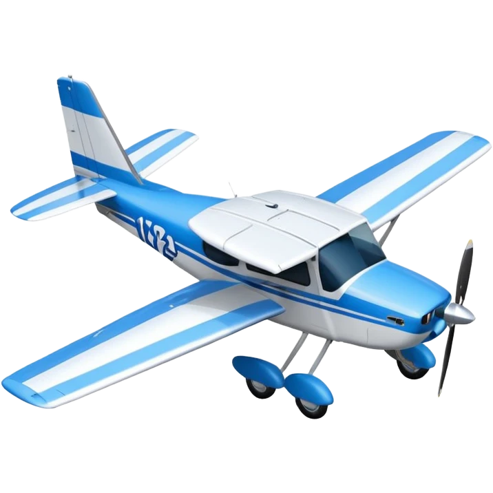 cessna 172 birds eye view emoji