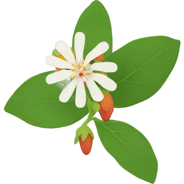 ashwagandha with flower emoji