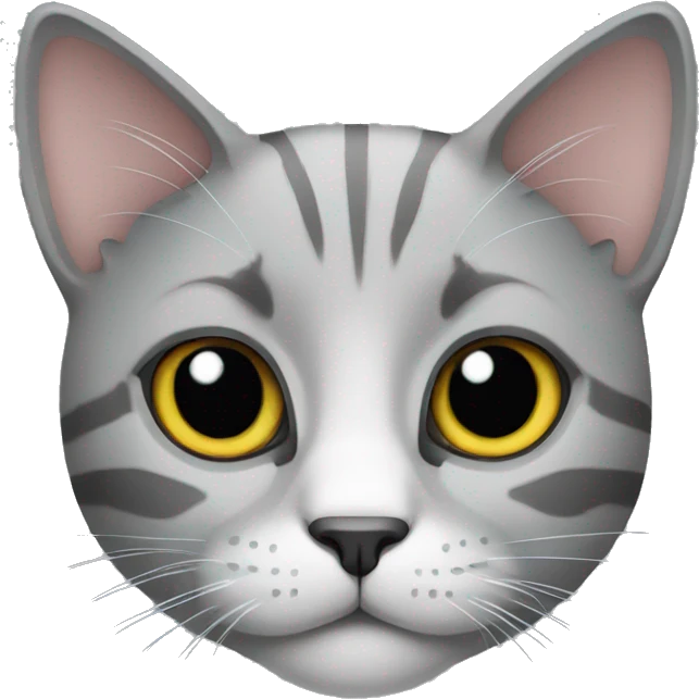 cat gray emoji