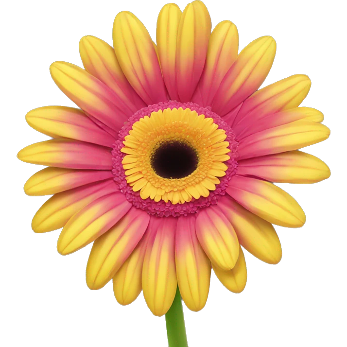 GERBERA amarillo  emoji