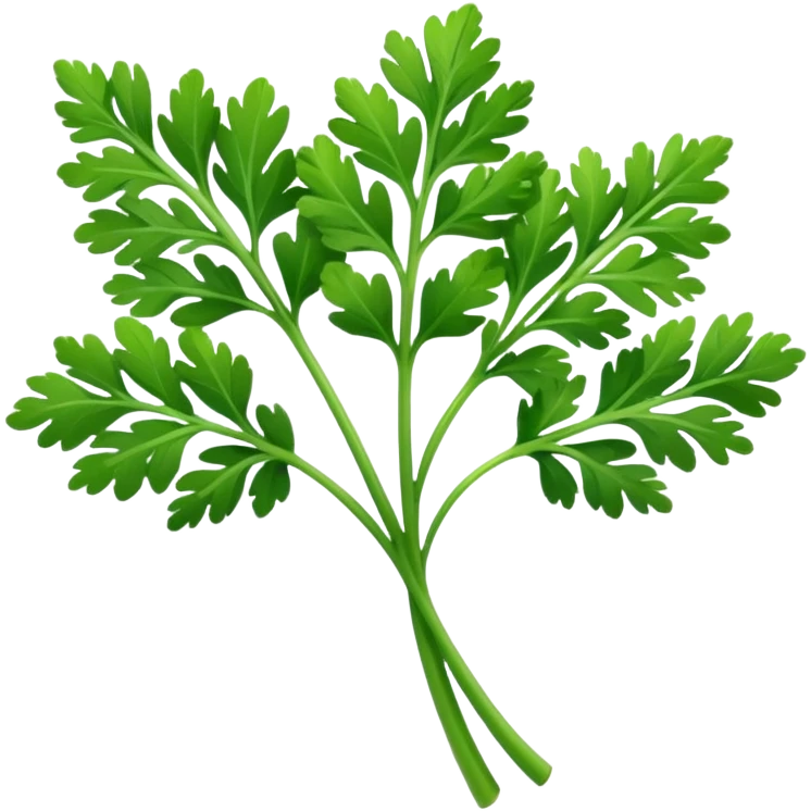 sprig of parsley emoji