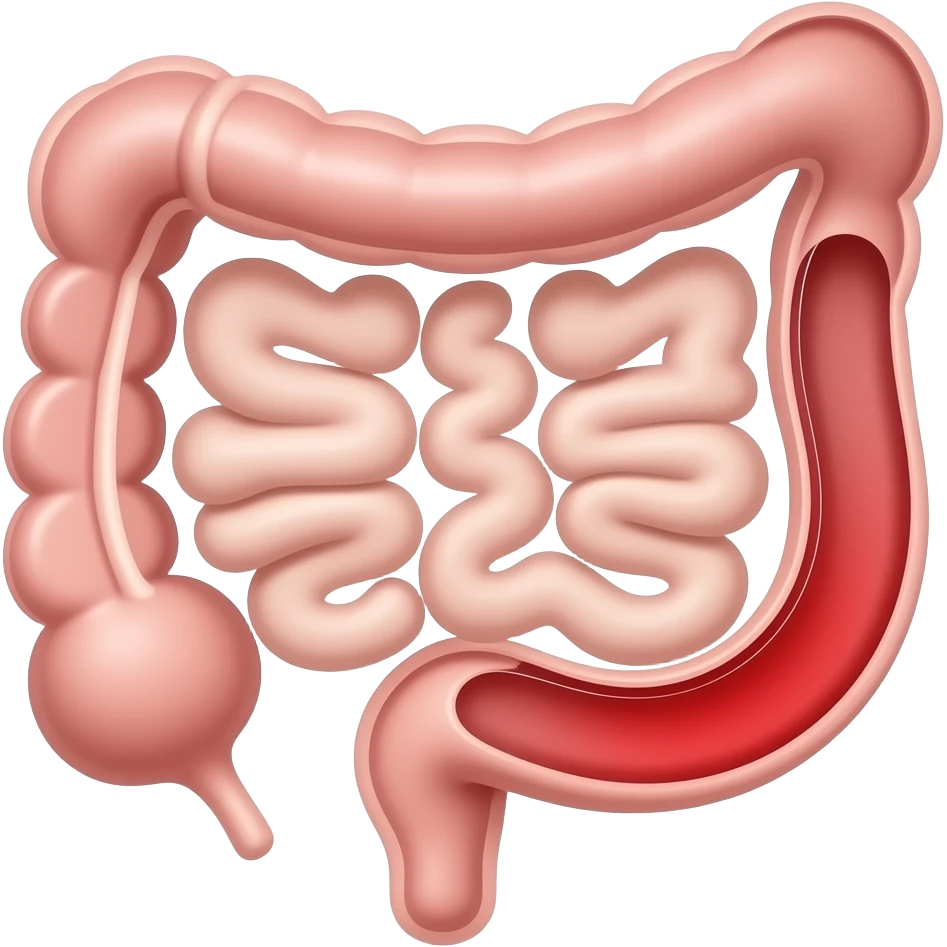 appendix in bowel anatomy image, appendix with red colouring emoji