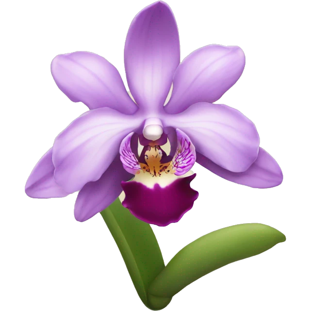 an orchid  emoji