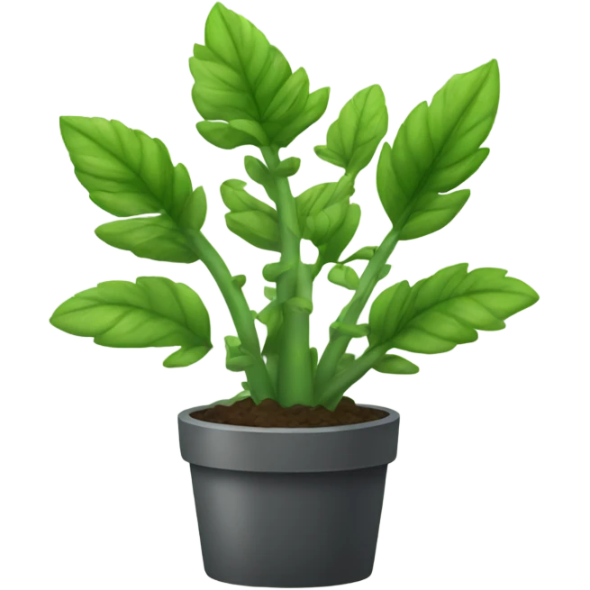 Plant zamiokulkas emoji