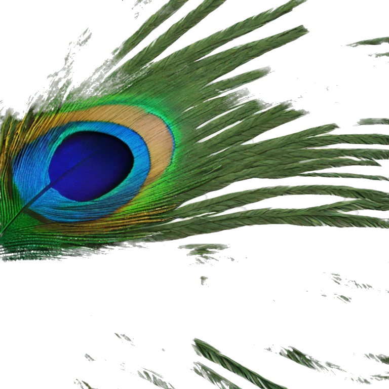 peacock feather emoji