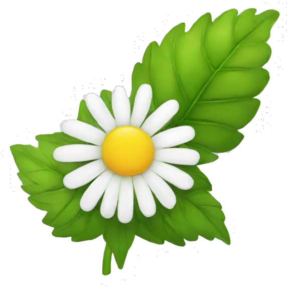 CHAMOMILE with leaf emoji