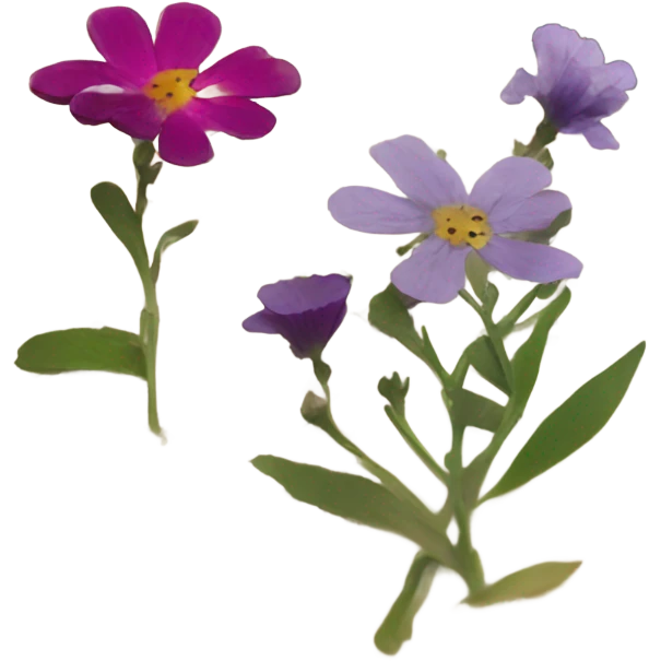book with some pressed flowers on the pages  emoji