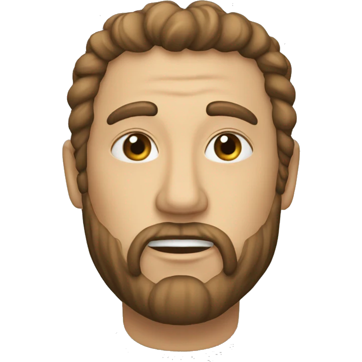 macareux oiseuax emoji