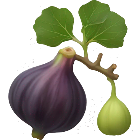 fig the fruit emoji