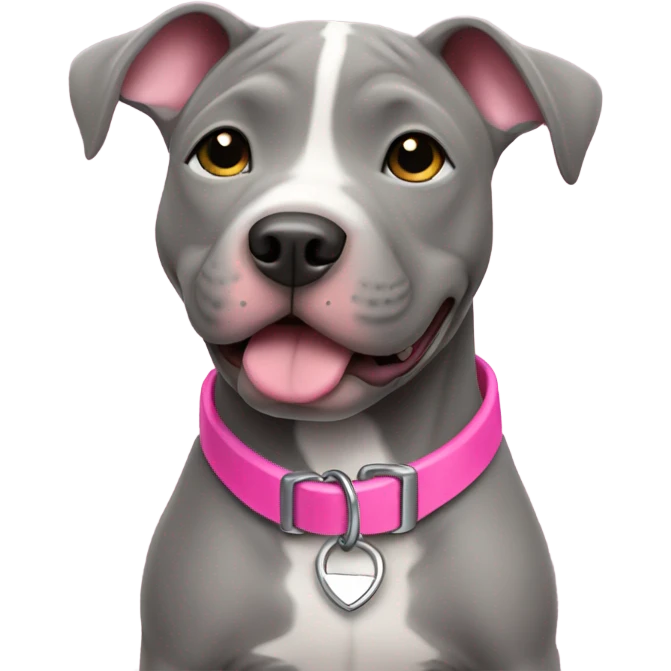 Grey pittbull puppy with a pink collar emoji