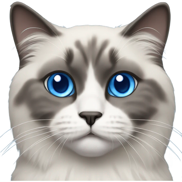 Blue point ragdoll cat with short length hair, with blue eyes, dark face and white body emoji