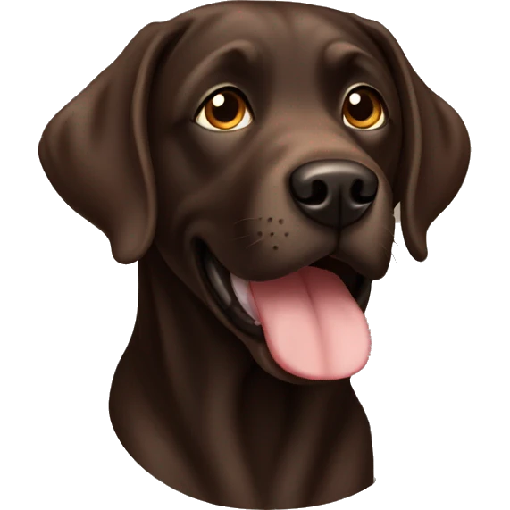 Dark brown Labrador named Coco emoji