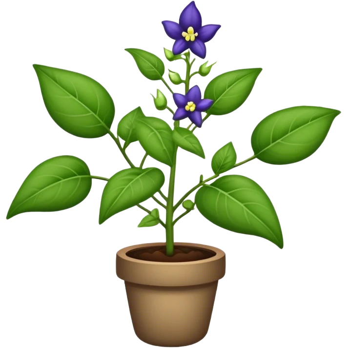 Nightshade emoji